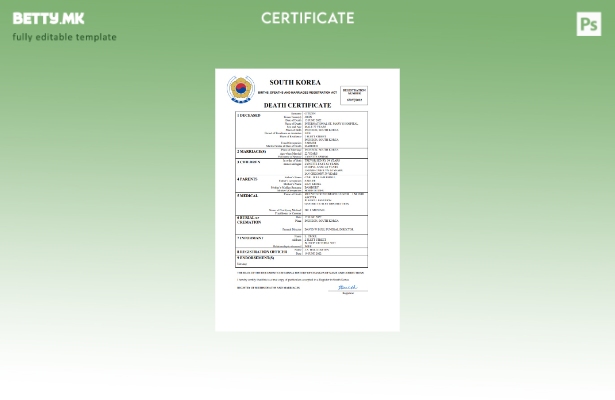 модерен стил Јужна Кореја од витално значење за умрениот шаблон Word и PDF шабло